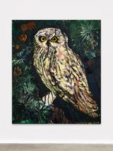 Mystery Owl at Studio by Thomas Houseago contemporary artwork painting