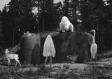 White Things by Jane Hammond contemporary artwork photography