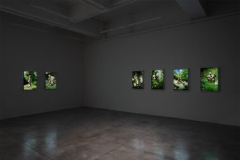 Contemporary art exhibition Park Chan-kyong Citizens Forest at Tina Kim Gallery New York United States