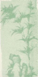 Nan Qis Green Bamboo by Nan Qi contemporary artwork drawing works on paper