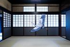 Intoxicated by the Moonlight Obai-in Kyoto by Karen Knorr contemporary artwork Painting