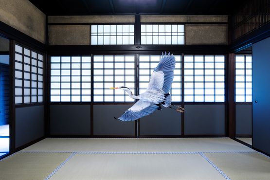 Intoxicated by the Moonlight Obai-in Kyoto by Karen Knorr contemporary artwork Painting
