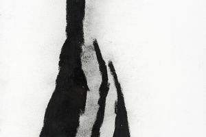 David Nash