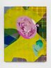 French Rose by Shezad Dawood contemporary artwork Painting