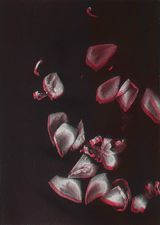 Untitled red and white petals by Pati Hill contemporary artwork print