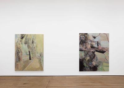 Francesca Molletts Shifting Surfaces at GRIMM
