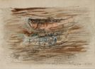 Two Fish by Zao Wou-Ki contemporary artwork Works on Paper