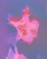 Took you a little farther away from me by Sarah Isabelle Tan contemporary artwork print