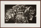 Lotus blooms by Lionel Wendt contemporary artwork Photography