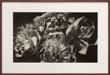 Lotus blooms by Lionel Wendt contemporary artwork photography