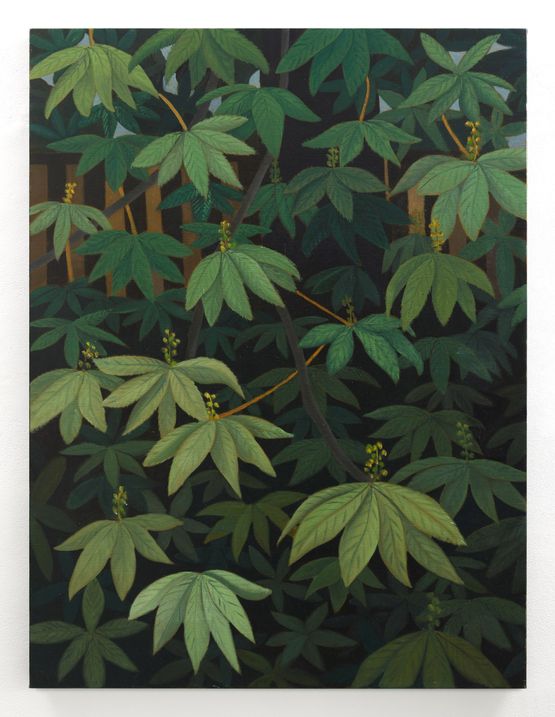 Horse Chestnut Leaves by Stephen McKenna contemporary artwork Painting