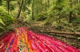Drapery and wattle by Rosemary Laing contemporary artwork photography