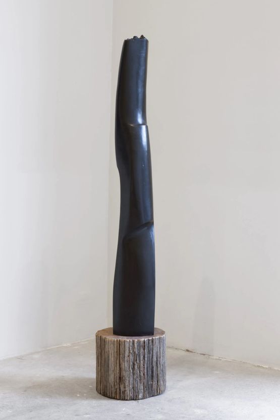 Oldevai by Tanya Ashken contemporary artwork Sculpture