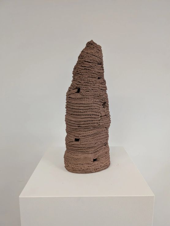 Untitled from the series Cupinzeiros by Lidia Lisboa contemporary artwork Sculpture