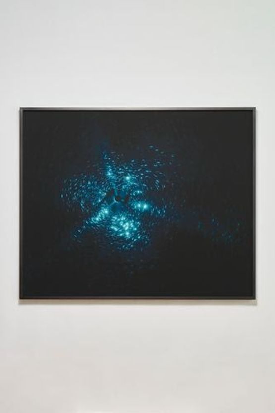 Midnight Zone - 163 Fathoms by Julian Charriere contemporary artwork Photography