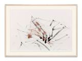 Foglie by Giuseppe Penone contemporary artwork drawing painting works on paper