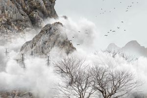 Yang Yongliang