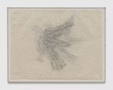Shadow Drawing September by Kiki Smith contemporary artwork works on paper