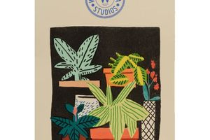 Jonas Wood