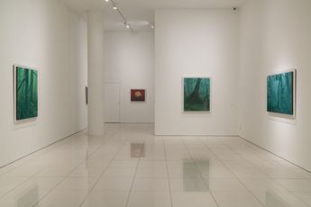 Contemporary art exhibition Kazuyuki Futagawa Silent Fire at Whitestone Gallery Seoul South Korea