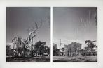 Sin titulo Arbol  Untitled Tree by Carlos Garaicoa contemporary artwork Photography