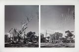 Sin titulo Arbol  Untitled Tree by Carlos Garaicoa contemporary artwork mixed media photography