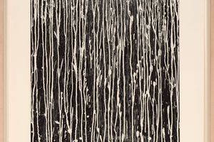 Pat Steir