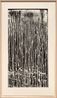 Long Vertical Falls 4 by Pat Steir contemporary artwork Print