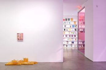Contemporary art exhibition Shahryar Nashat Hounds of Love at Gladstone 515 West 24th Street New York United States