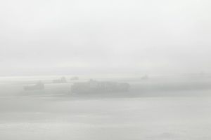 Richard Misrach