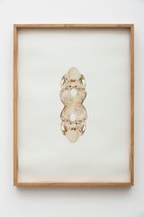 Untitled from the series Atlas by Rodolpho Parigi contemporary artwork works on paper