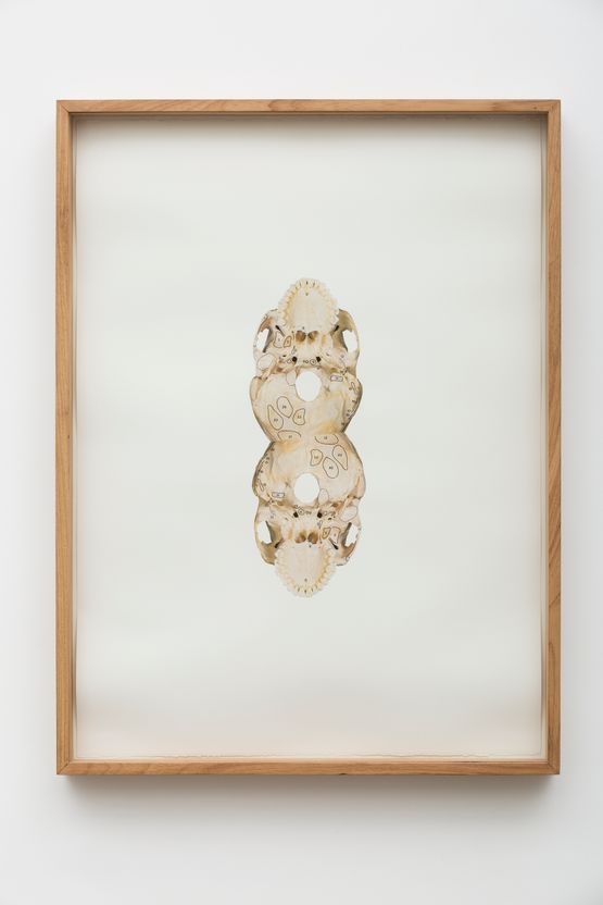 Untitled from the series Atlas by Rodolpho Parigi contemporary artwork Works on Paper