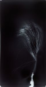 Untitled from Clearing by Simryn Gill contemporary artwork photography
