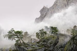 Yang Yongliang