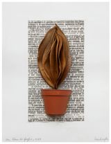 A Book of Leaves by Mirella Bentivoglio contemporary artwork painting