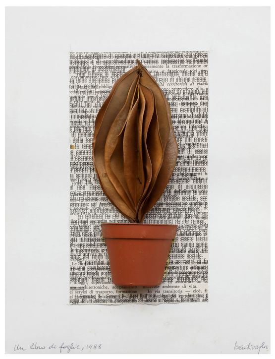 A Book of Leaves by Mirella Bentivoglio contemporary artwork Painting