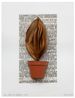 A Book of Leaves by Mirella Bentivoglio contemporary artwork Painting
