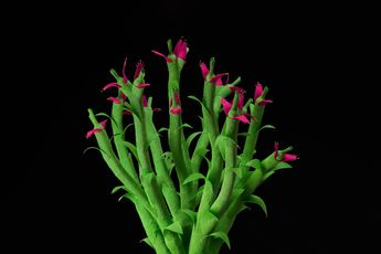 Contemporary art exhibition Nina Katchadourian Nursery at Pace Gallery 540 West 25th Street New York United States