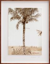 Postcards from Africa Man climbing palm by Sue Williamson contemporary artwork works on paper