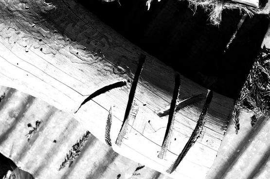 OUT OF NOISE by Ruriko Taguchi contemporary artwork Photography