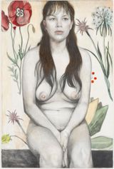 Mandrake by Jenny Scobel contemporary artwork drawing painting