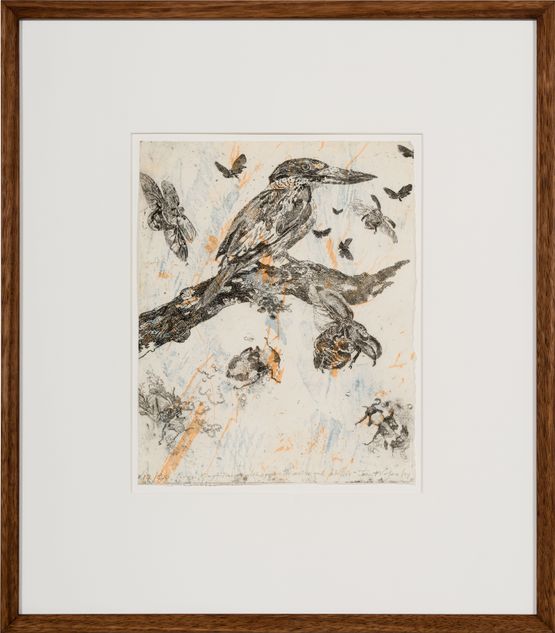 Forest Kingfisher with Symbiotic Moths and Beetles by John Wolseley contemporary artwork Print