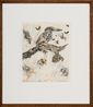 Forest Kingfisher with Symbiotic Moths and Beetles by John Wolseley contemporary artwork Print