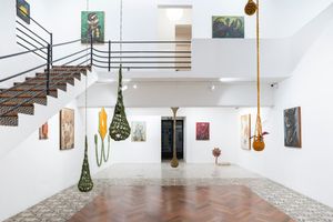 Ernesto Neto  Niobe Xando
