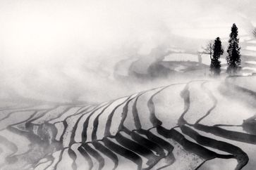 Michael Kenna contemporary artist