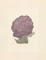 Revival Series 11 Purple Trophy by Eddie Lui contemporary artwork drawing works on paper