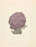 Revival Series 11 Purple Trophy by Eddie Lui contemporary artwork Works on Paper