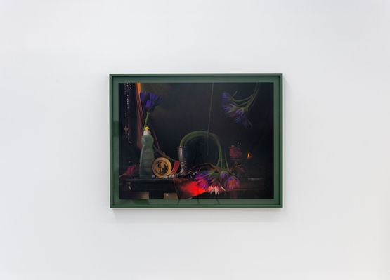 Still Life with Water Lilies Dragon Fruit and Sphinx Ripiro by Fiona Pardington contemporary artwork Photography