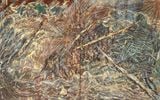 Incense by Woo Min Jung contemporary artwork painting
