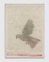 Shadow Drawing October by Kiki Smith contemporary artwork drawing painting